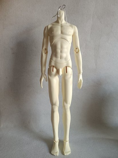 68cm Boy Body in WS